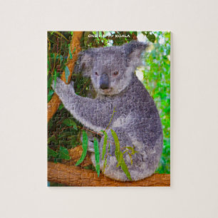 Koala-Bären Puzzle