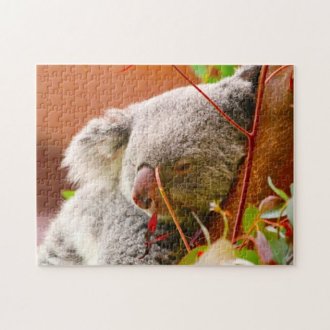 Koala-Bären. Puzzle (Horizontal)