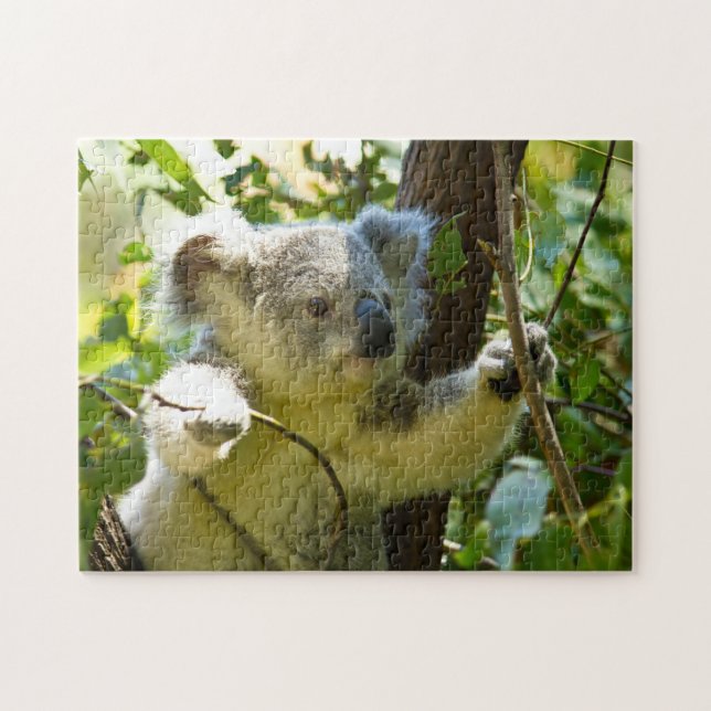 Koala-Bären. Puzzle (Horizontal)