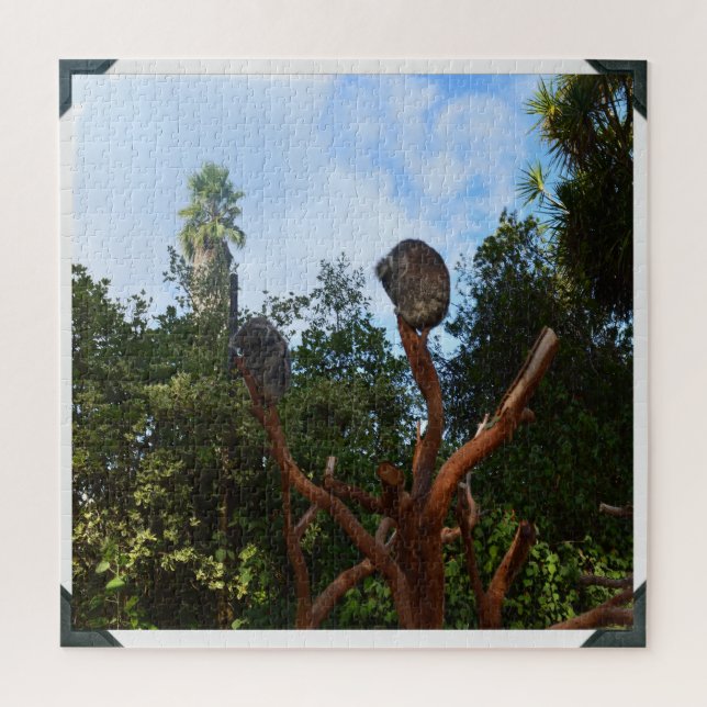 Koala-Bären schlafen in Bäumen, Puzzle (Vertikal)