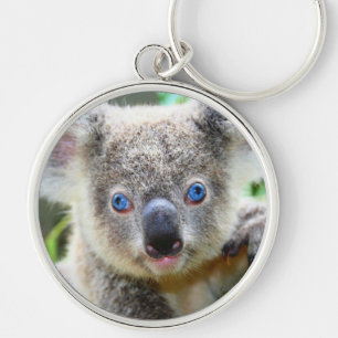 Koala Bären Schlüsselanhänger