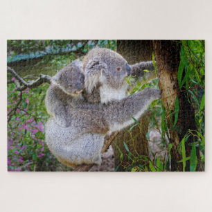 Koala-Bärenpuzzle Puzzle