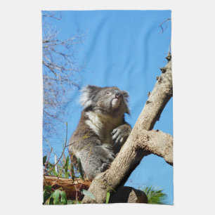 Koala Bärenzeit, um über das Leben nachzudenken, Geschirrtuch