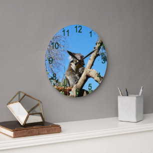 Koala Bärenzeit, um über das Leben nachzudenken, Große Wanduhr