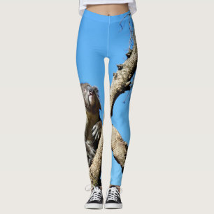 Koala Bärenzeit, um über das Leben nachzudenken, Leggings