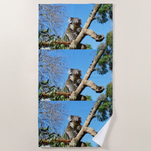 Koala Bärenzeit, um über das Leben nachzudenken, Strandtuch