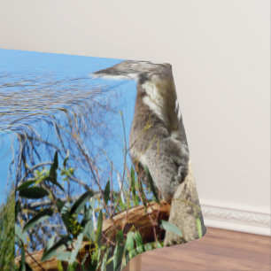 Koala Bärenzeit, um über das Leben nachzudenken, Tischdecke