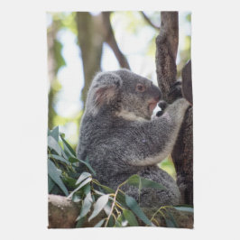 Koala-Bärn-Geschirrtuch Geschirrtuch