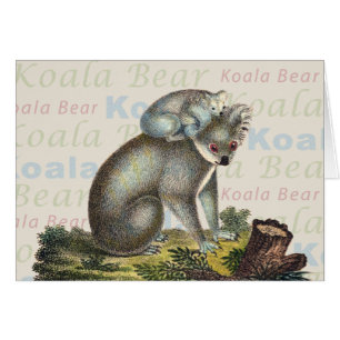 Koala-Bärn-Karte
