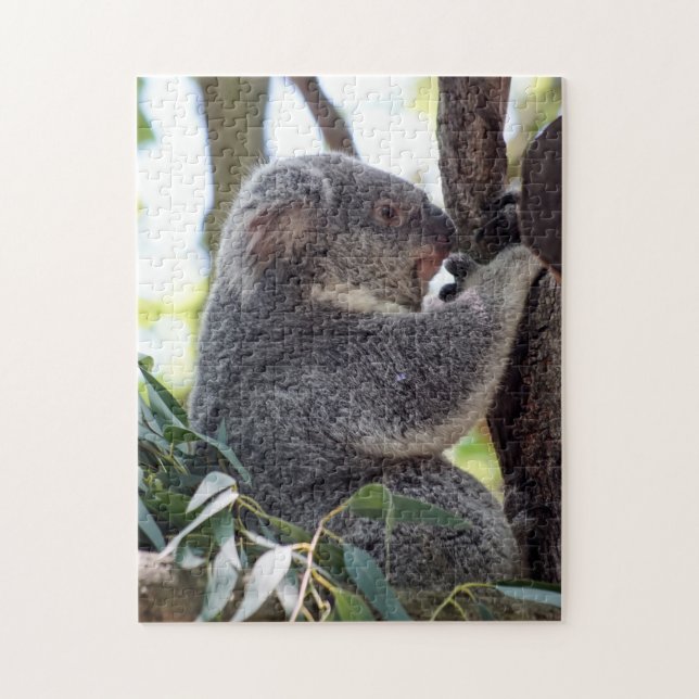 Koala-Bärn-Puzzlespiel Puzzle (Vertikal)