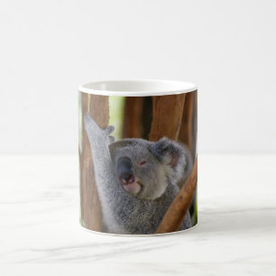 Koala-Bärn-Tasse Tasse