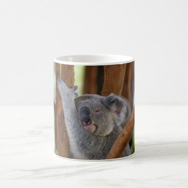 Koala-Bärn-Tasse Tasse (Mittel)