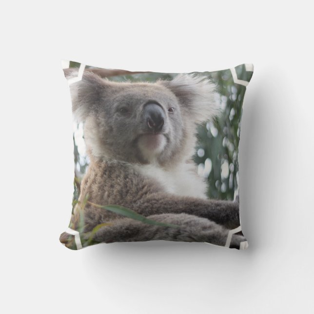 Koala-Bärn-Tatsachen-Kissen Kissen (Vorderseite)