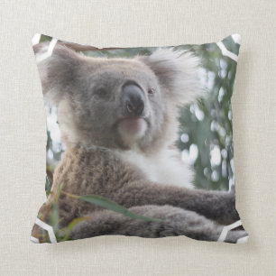 Koala-Bärn-Tatsachen-Kissen Kissen