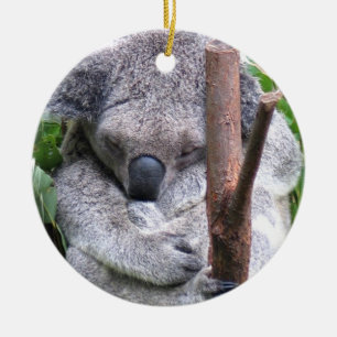 Koala-Bärn-Verzierung Keramik Ornament