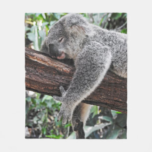 KOALA BÄRSCHLAFEN AUF BAUM FLEECEDECKE