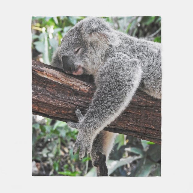 KOALA BÄRSCHLAFEN AUF BAUM FLEECEDECKE (Vorderseite)