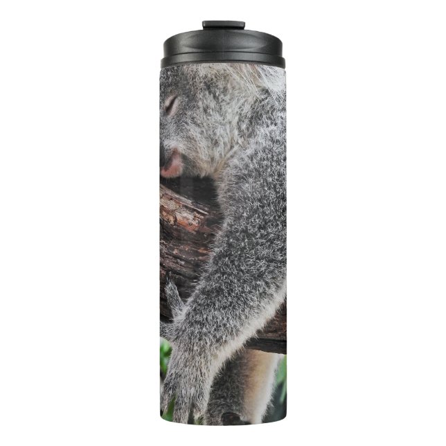 KOALA BÄRSCHLAFEN AUF BAUM THERMOSBECHER (Vorderseite)