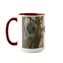 Koala Bear Aussi Safari Liebe Naturschutzgebiet