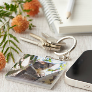 Koala Bear Aussi Safari Peace Liebe Nature Destiny Schlüsselanhänger