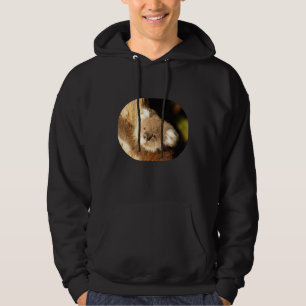 Koala Bear Australia Liebe Hoodie