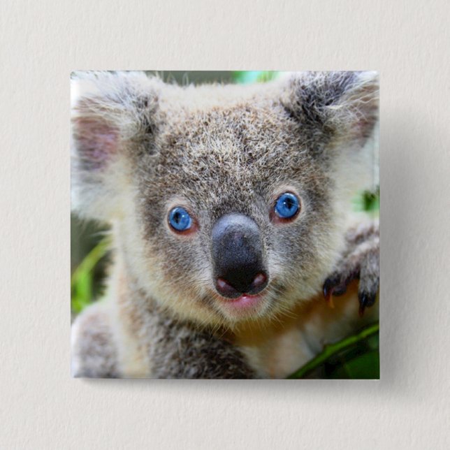 Koala Bear Button (Vorderseite)