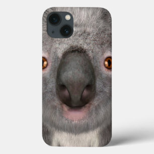 Koala Bear iPhone 13 Hülle