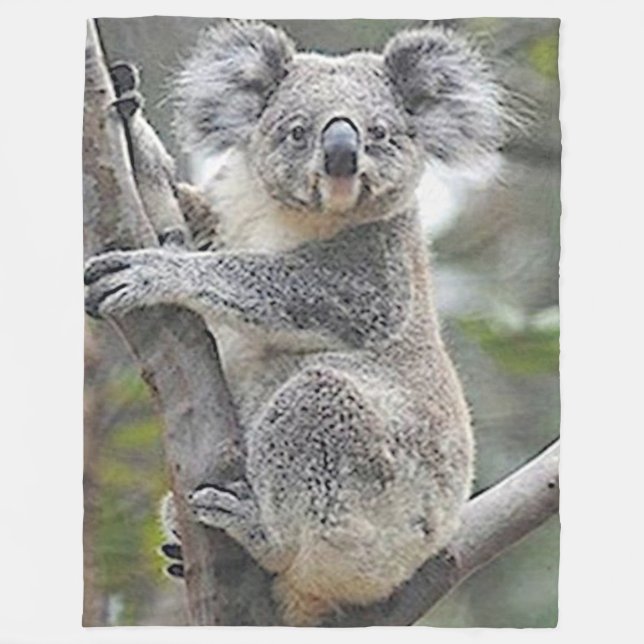 KOALA BEAR FLEECEDECKE (Vorderseite)