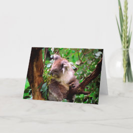 Koala Bear Grußkarte Karte