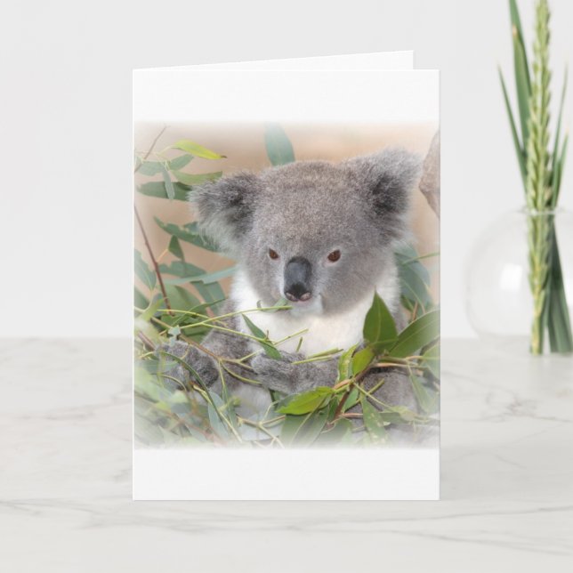 Koala Bear Grußkarte Karte (Vorderseite)