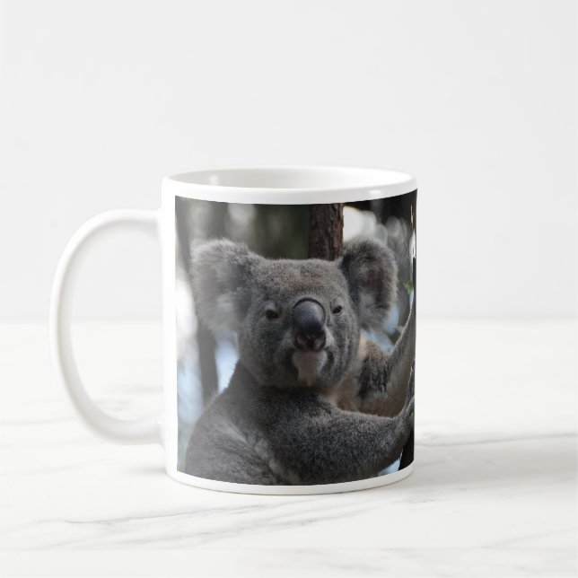 Koala Bear in Tree Kaffeetasse (Links)