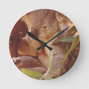 Koala Bear Liebe Runde Wanduhr