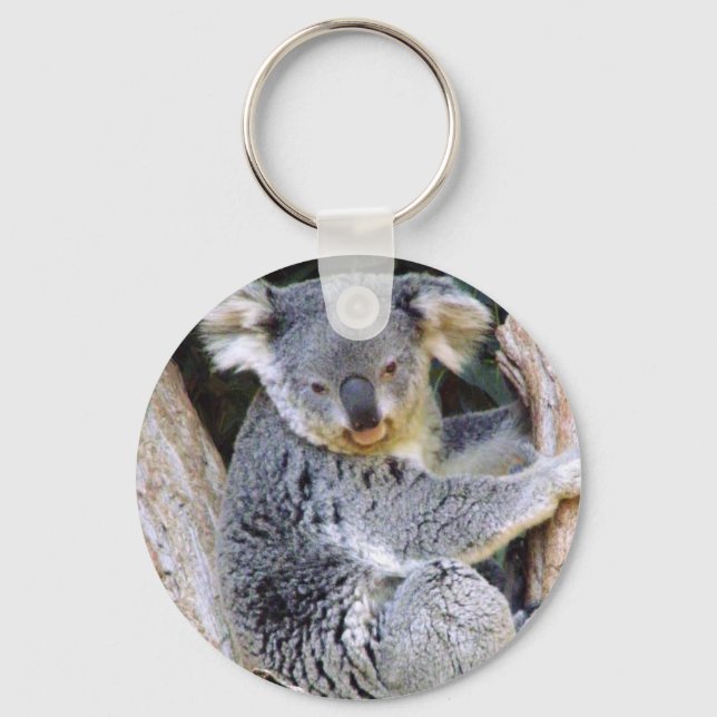 Koala Bear Liebe_ Schlüsselanhänger (Vorderseite)
