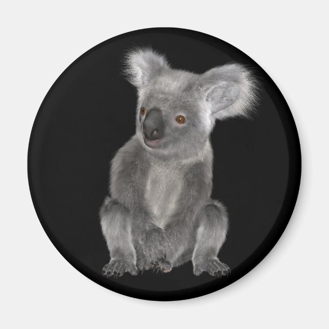 Koala Bear Magnet (Vorne)