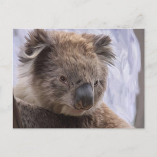 Koala Bear Postkarte