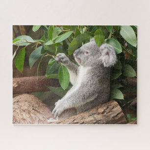 Koala Bear Puzzle