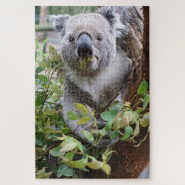 Koala Bear Puzzle