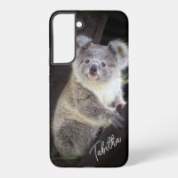 Koala Bear