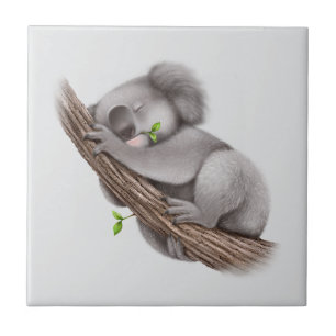 Koala Bear schlafen Fliese