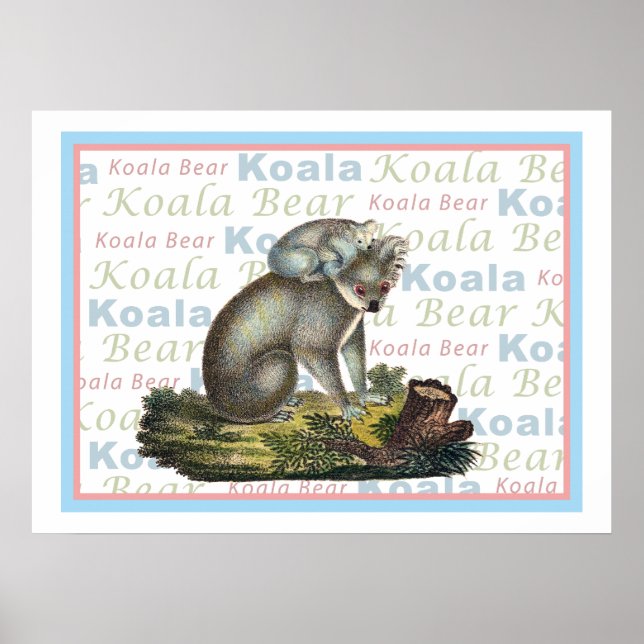Koala Bear und Baby Poster (Vorne)
