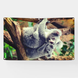 KOALA BEAR UND CUB BANNER MIT KÜHLMEERN