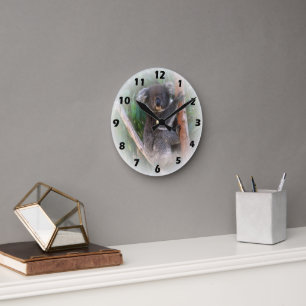 Koala Bear Wall Clock Runde Wanduhr