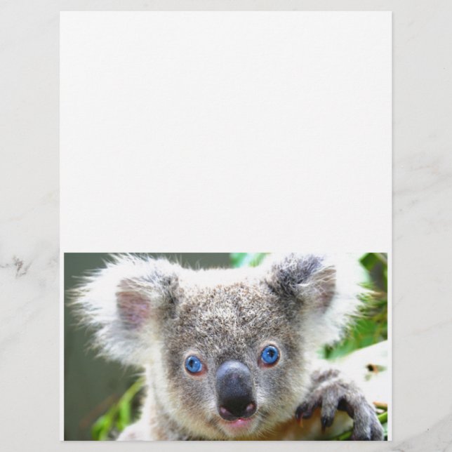 Koala Bears (Vorderseite)