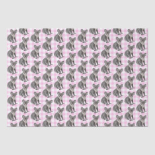 Koala Bears auf Pink Gingham Seidenpapier