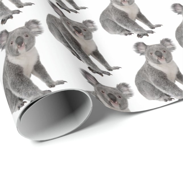 Koala Bears auf Weiß Geschenkpapier (Rolleneckpunkt)