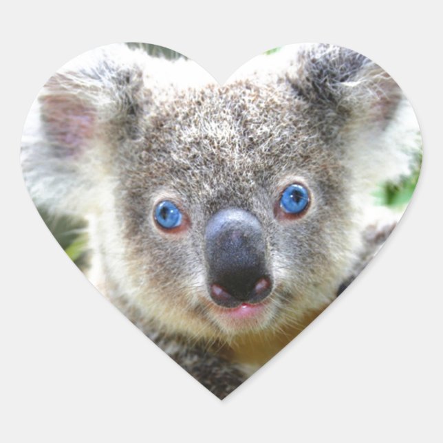 Koala Bears Herz-Aufkleber (Vorderseite)