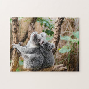 Koala Bears Jigsaw Puzzle