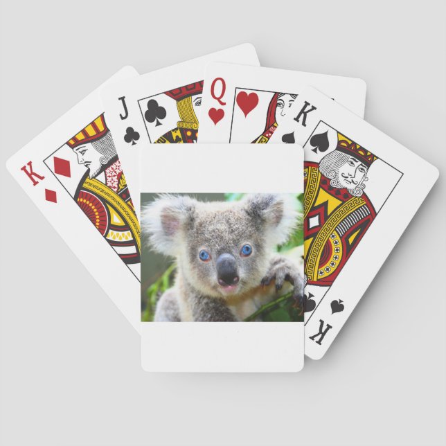 Koala Bears Spielkarten (Rückseite)
