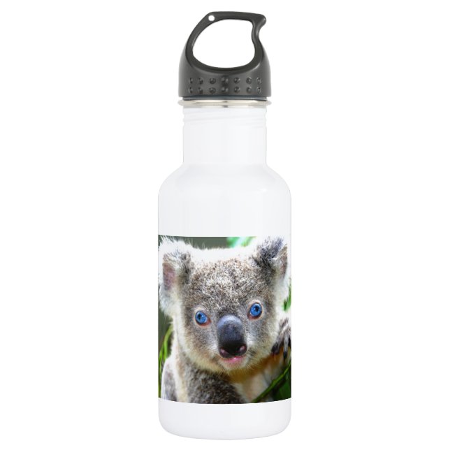 Koala Bears Trinkflasche (Vorderseite)
