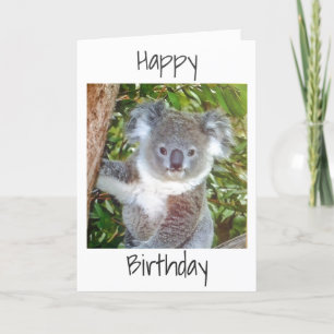 "KOALA BIRTHDAY GREETINGS" KARTE